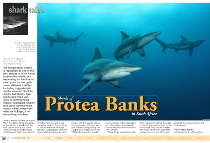 Protea Banks_Don Silcock_Cover.jpg