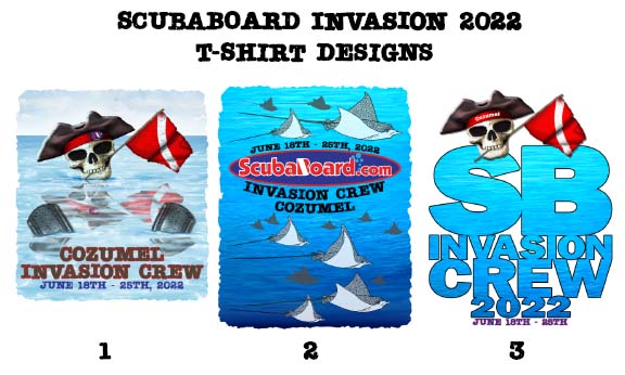 SB Invasion 2022 T-Shirt Designs For Voting Art by MrH.jpg
