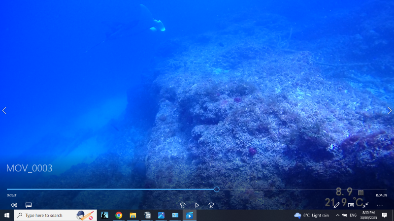Screenshot (32).png