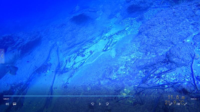 Screenshot (34).png