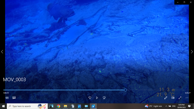 Screenshot (35).png