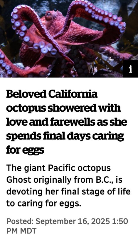 Screenshot_20250916_172422_CBC News.jpg