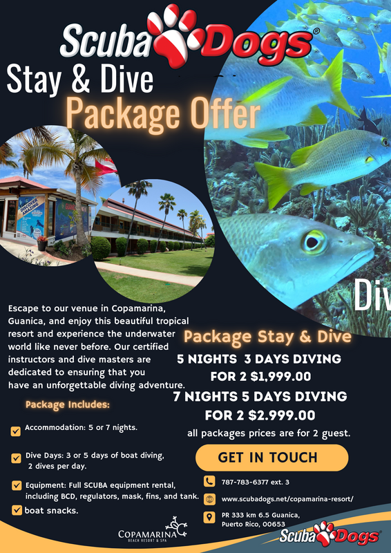 Scuba Diving offer 2024.png Scuba Diving offer 2024.png
