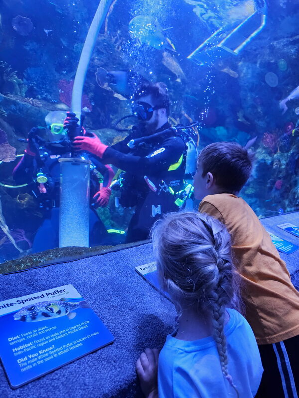 scuba vacuum.jpg