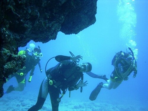 2 Week Beginner Dive Training, Bahamas, 4 PADI Certs, Summer 2020 ...