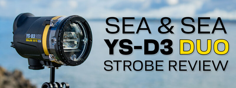 Sea-and-Sea-YS-D3-Duo-Review-Banner-V2.jpg