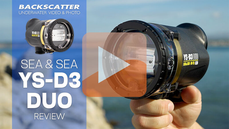 Sea-and-Sea-YS-D3-DUO-Review-Thumbnail.jpg