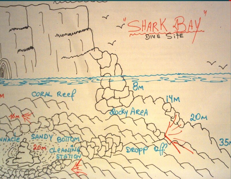 Shark Bay.jpg