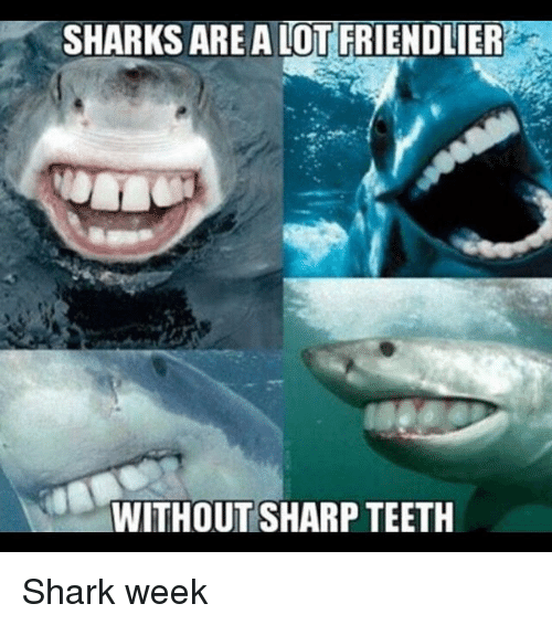 sharks-area-lot-friendlier-without-sharp-teeth-shark-week-26096427.png