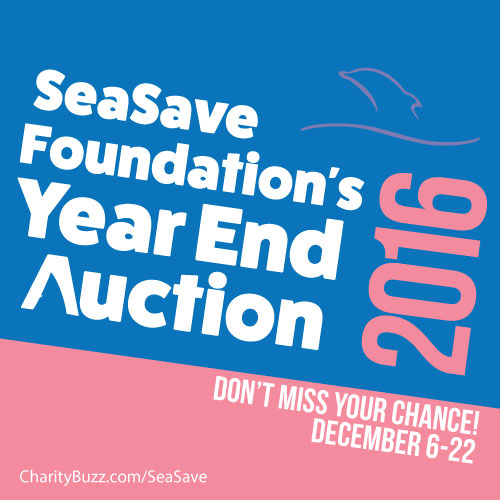 SQAuction.jpg