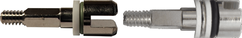 Stems.png