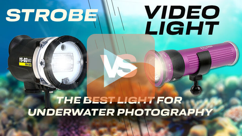Strobe-vs-Video-Lights-Video-Banner.jpg