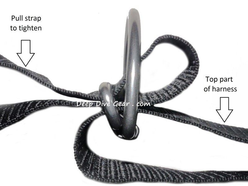 T01150_d_ring_adjustable_harness_B_labeled_ddg.jpg T01150_d_ring_adjustable_harness_B_labeled_ddg.jpg