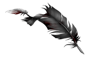 tattered_feather_by_momma_kuku-da98kmd.png