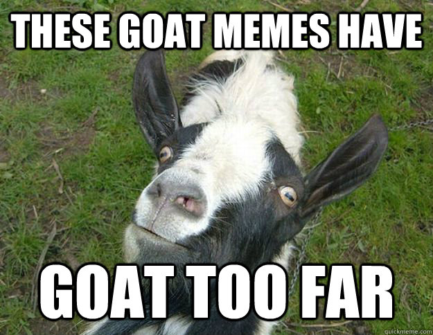 These-Goat-Meme-Have-Goat-Too-Far-Funny-Goat-Meme-Picture.jpg