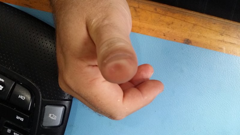 thumb1.jpg