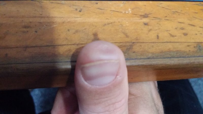 thumb2.jpg