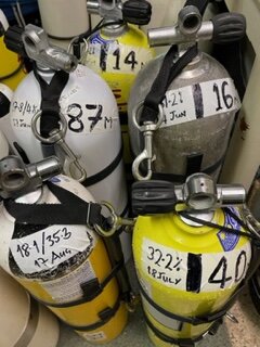 Tin labels.jpg Tin labels.jpg