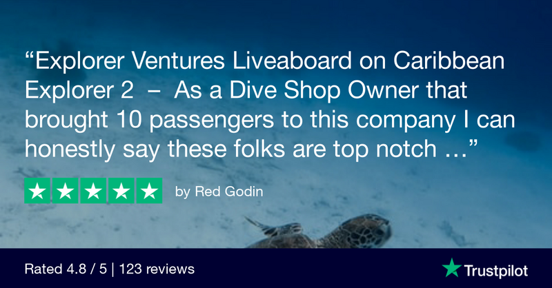 Trustpilot Review - Red Godin.png