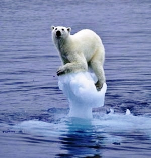 ?u=http%3A%2F%2Fwww.climate-change-guide.com%2Fimages%2Fmelting-ice-polar-bear.jpg