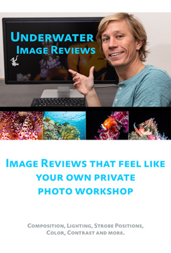 underwater-image-reviews-poster-250.jpg