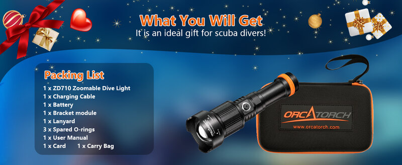 underwater torch lights.jpg