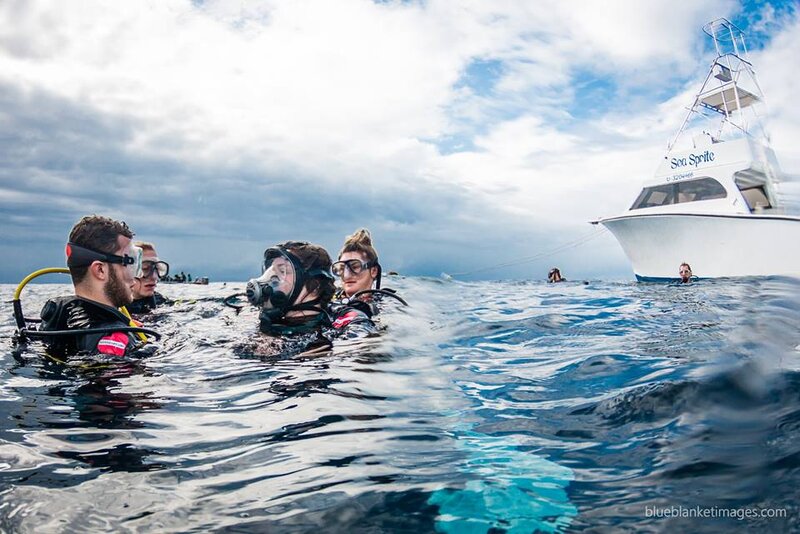 utila in water.jpg utila in water.jpg