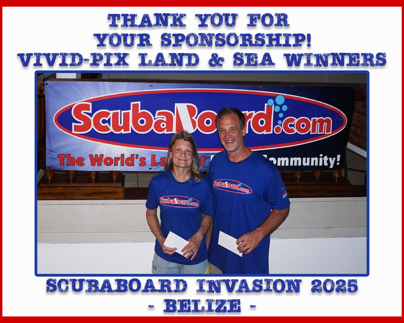 Vivid-Pix Land & Sea Winners.png