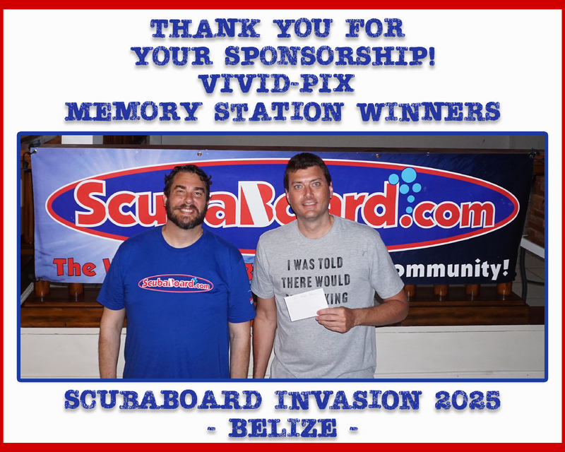 Vivid-Pix Memory Station Winners.png