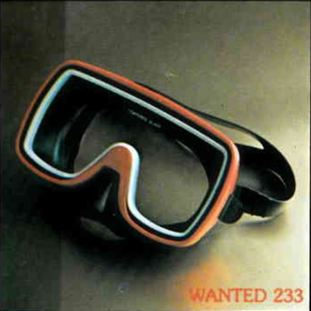 Wanted_233.jpg