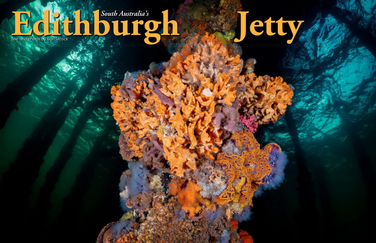 XR104_Edithburgh Jetty_Cover_750.jpg