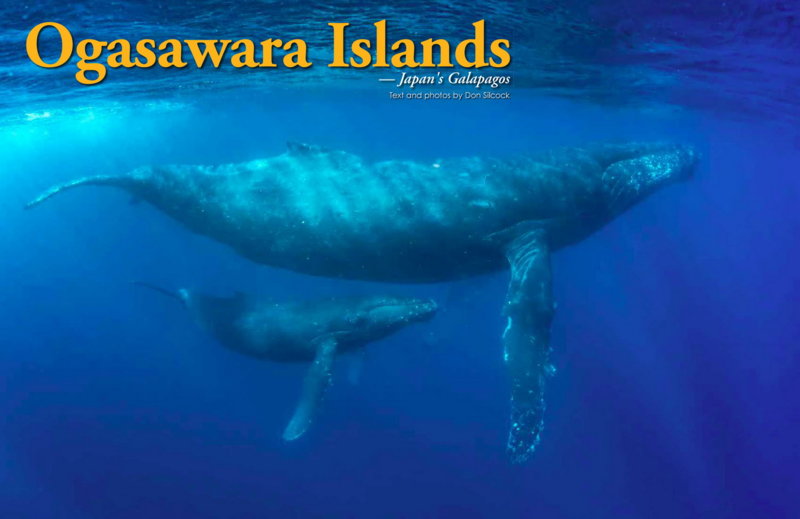 XR90_Ogasawara Islands_Cover_1500.jpg