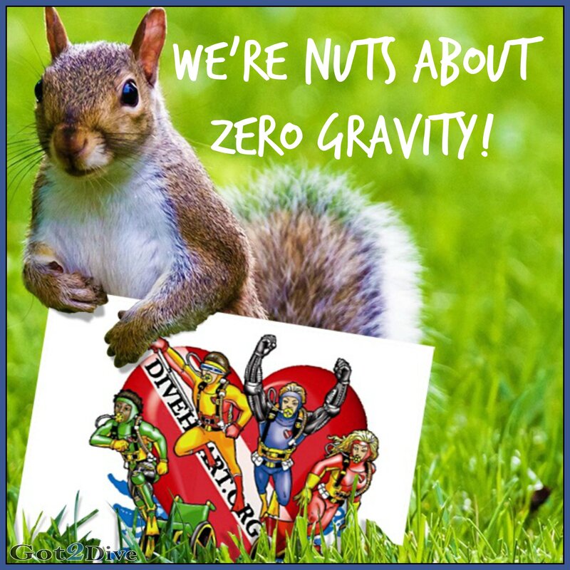zero gravity 2.jpg