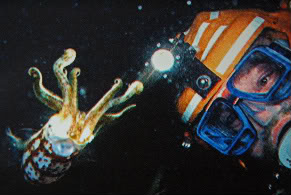 zz2049-1.jpg
