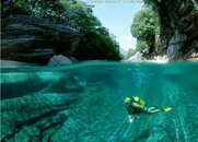 diving1.jpg