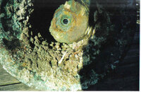 lastscan2.jpg