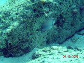 Picture 030 (Small).jpg