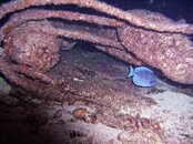 3-Night-11.JPG