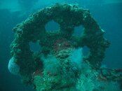 LST_wheel.jpg