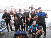 unalaskadiving01.jpg