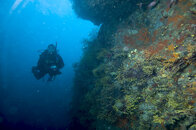 Backscatter and dome.jpg