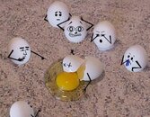 egg.jpg