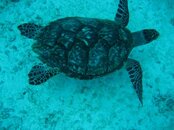 Img_0778.jpg