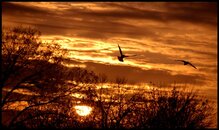 DSC_0078.JPG
