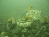redondo_toilet.sized.jpg