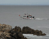 Monterey Express.jpg
