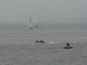 Whaler at Lovers.jpg