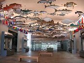 hall-fishes.jpg