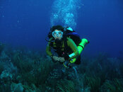 westdivers3.jpg