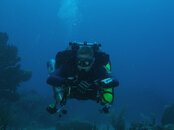 westdivers4.jpg